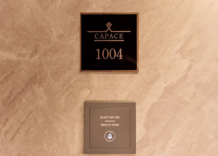 Capace Hotel Gangnam