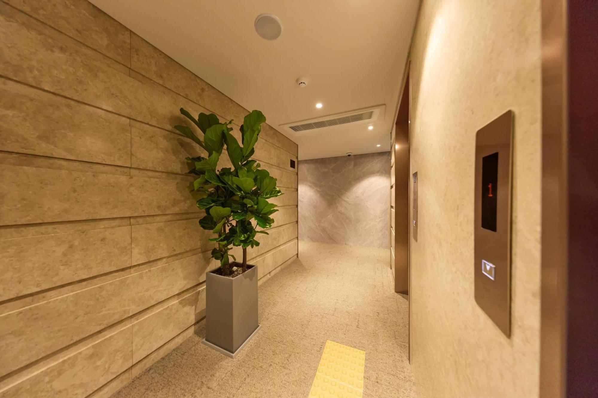 Capace Gangnam Hotel 3*